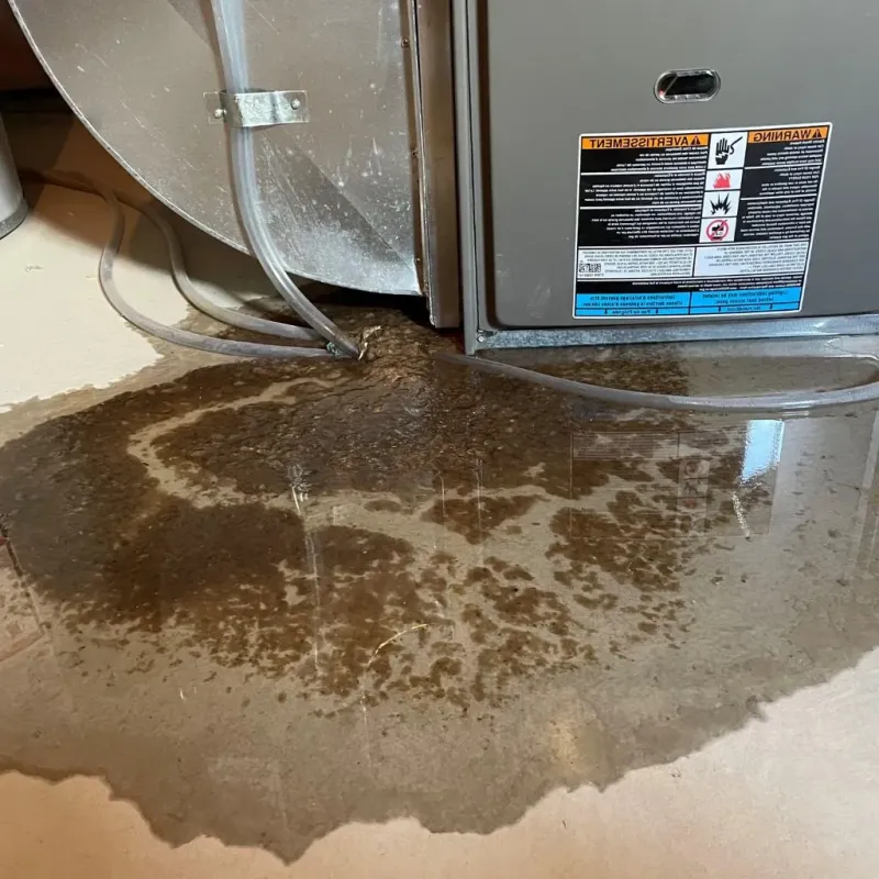 Pipe Burst and Leak Restoration in Schofield Barracks, HI